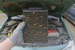 Meineke Car Care | Cabin Air Filter | Farmers Branch TX